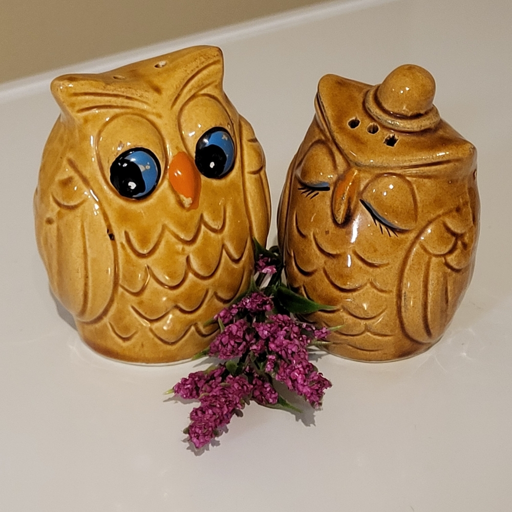 Vintage Ceramic Owls Salt and Pepper Shakers